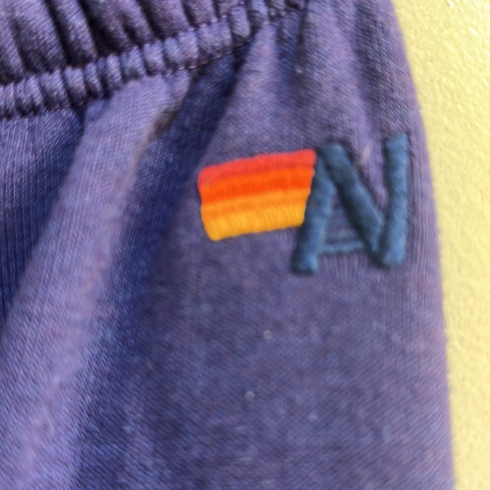Aviator Nation logo purple sweatpants. Size Large - Picture 2 of 8